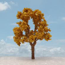 model trees